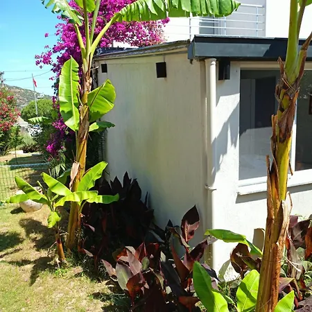 Kendine özgü Huzur Doğa Ve Deniz Keyfini Yaşayın