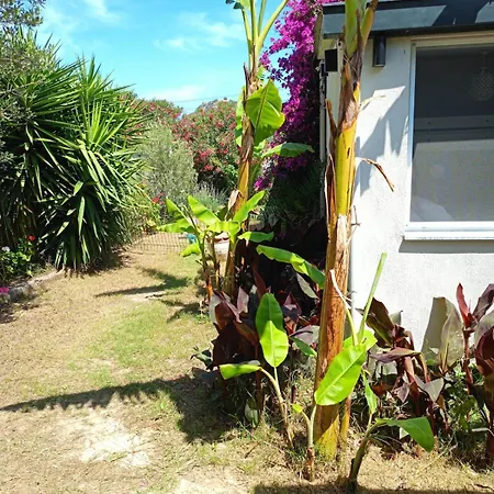 Kendine özgü Huzur Doğa Ve Deniz Keyfini Yaşayın * Çeşme